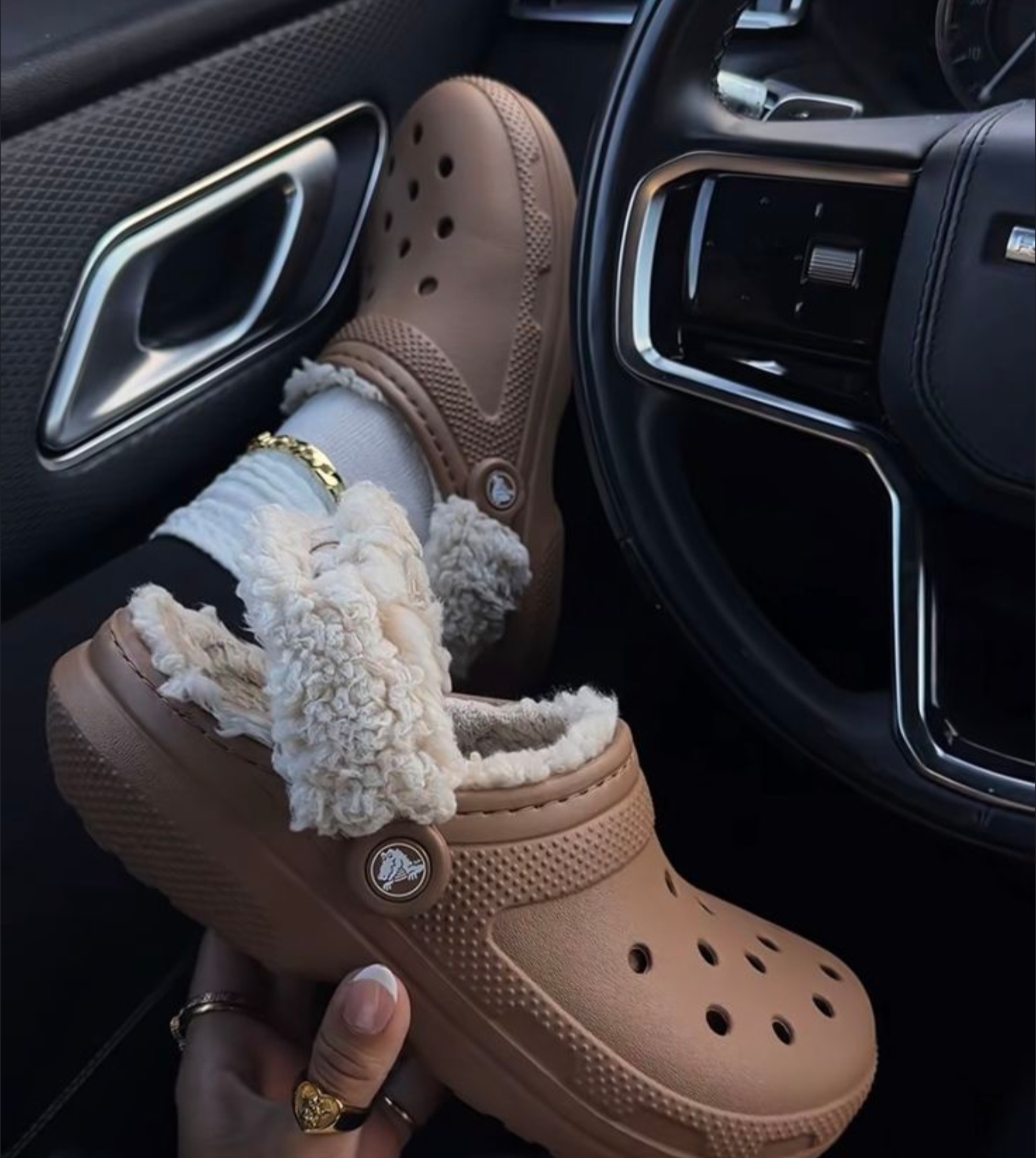 کراکس زمستانی