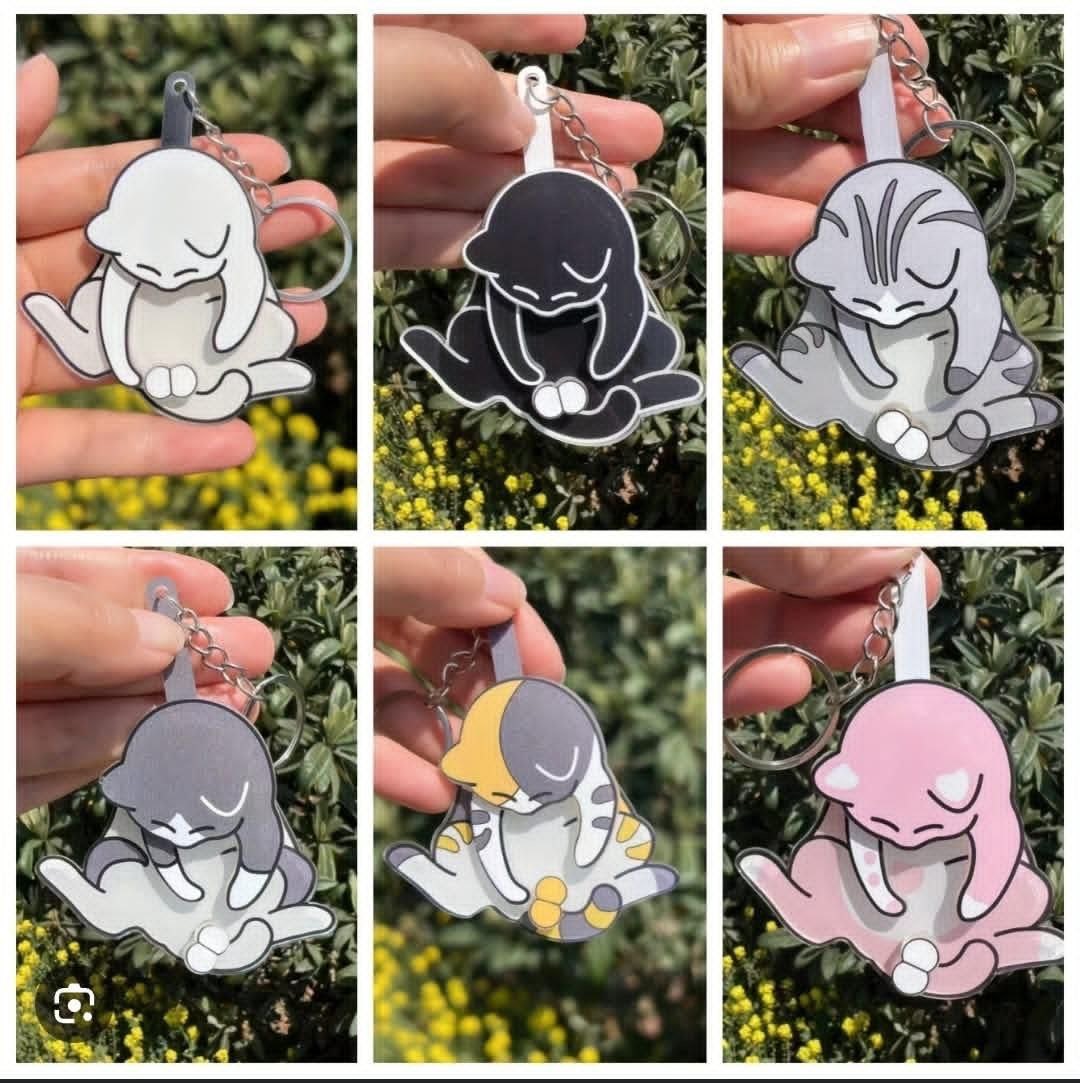 جاکلیدی گربه